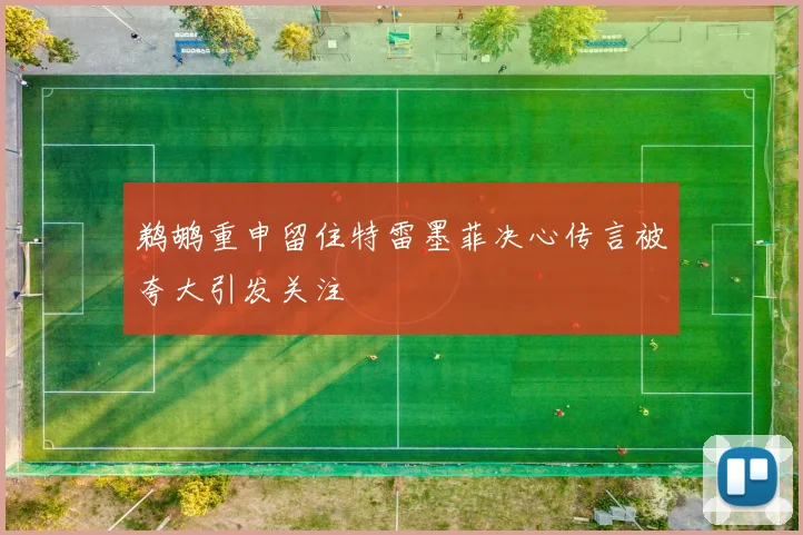 鹈鹕重申留住特雷墨菲决心传言被夸大引发关注